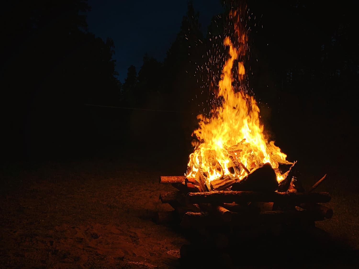 Wild Fire Events: Delivering Unforgettable Kids’ Experiences