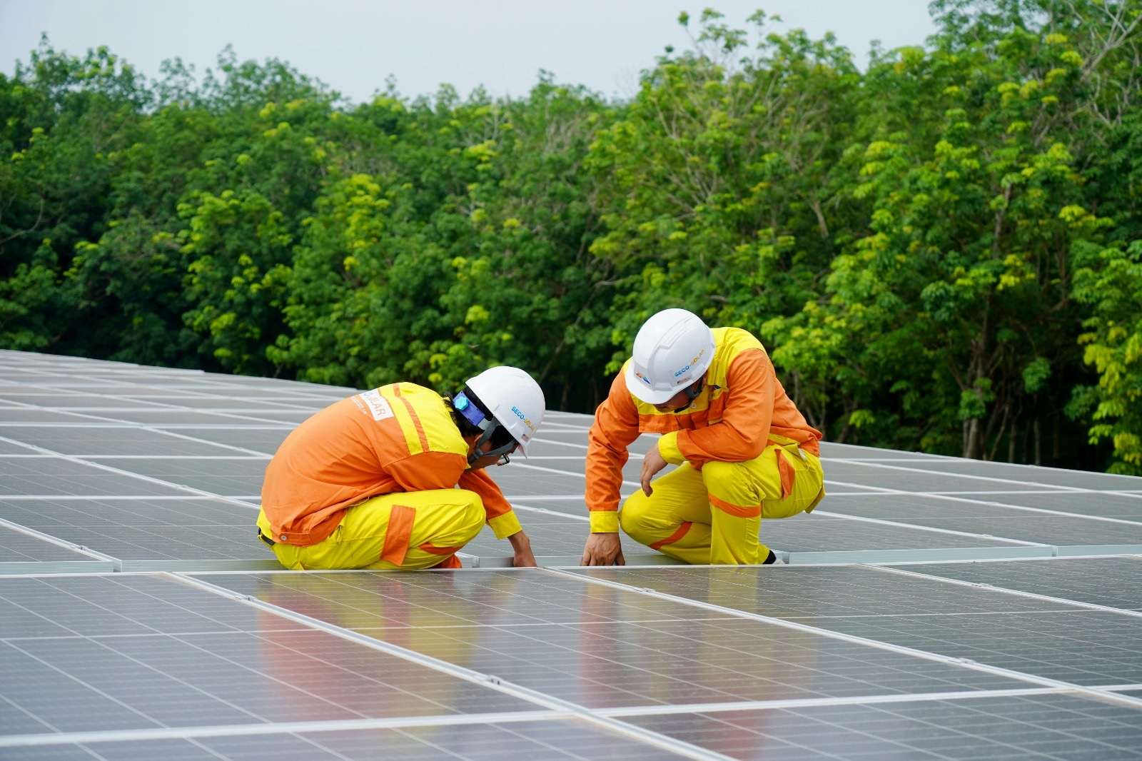Find Professional Solar Installers Near Me Today