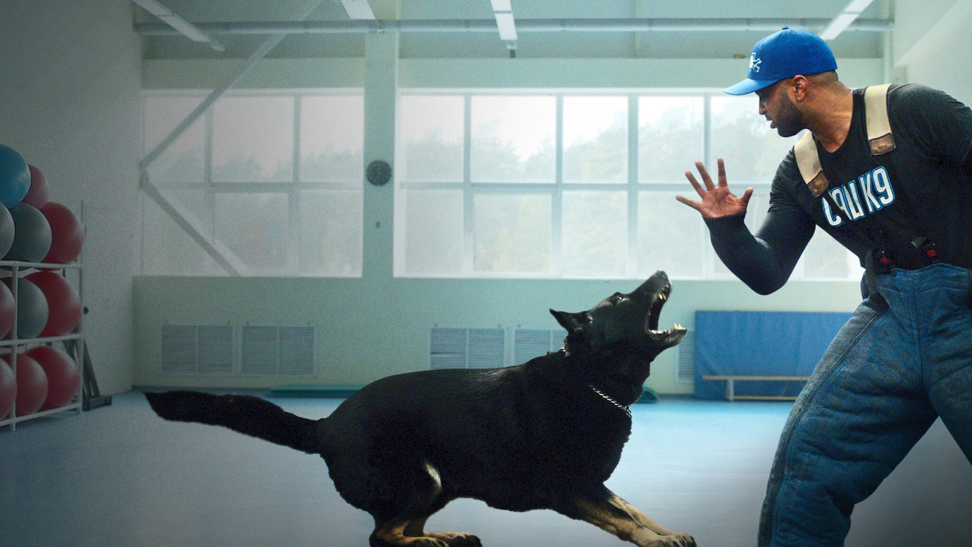 Mastering K9 Canine Training: Expert Tips from Rob’s Dog Training