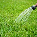 Expert Drainage Services in Aledo , TX | Bob’s Landscape & Irrigation Solutions LLC